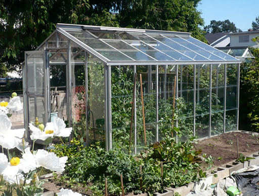 Traditional greenhouse 10x14 glass