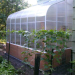 Pacific lean-to 6x12 twinwall
