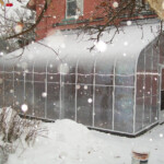 Pacific lean-to 14x20 twinwall