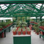 inside view of traditional commercial greenhouse