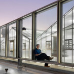 Cal State Long Beach Greenhouse