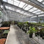 inside of building attached commercial greenhouse