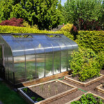 Pacific greenhouse 12x16 twinwall