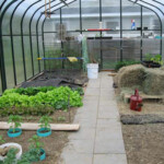Pacific greenhouse 12x20 twinwall