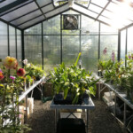 greenhouse interior fivewall