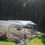 Gable Greenhouse