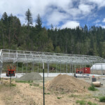 Gable Greenhouse