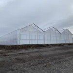 Commercial Gable Greenhouse