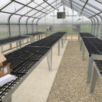 JR Teaching Greenhouse